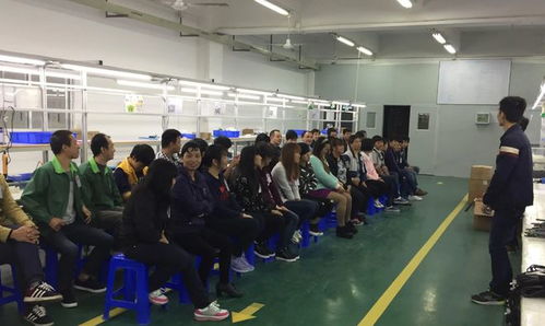 先就业再择业 大学教授呼吁双非毕业生务实面对就业市场