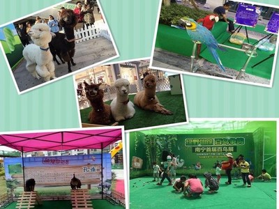 黔南州萌宠动物展览与经营性演出及经纪业务费用明细全解析